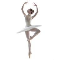 The-Top-10-Styles-of-Dance-ballet_large.jpg